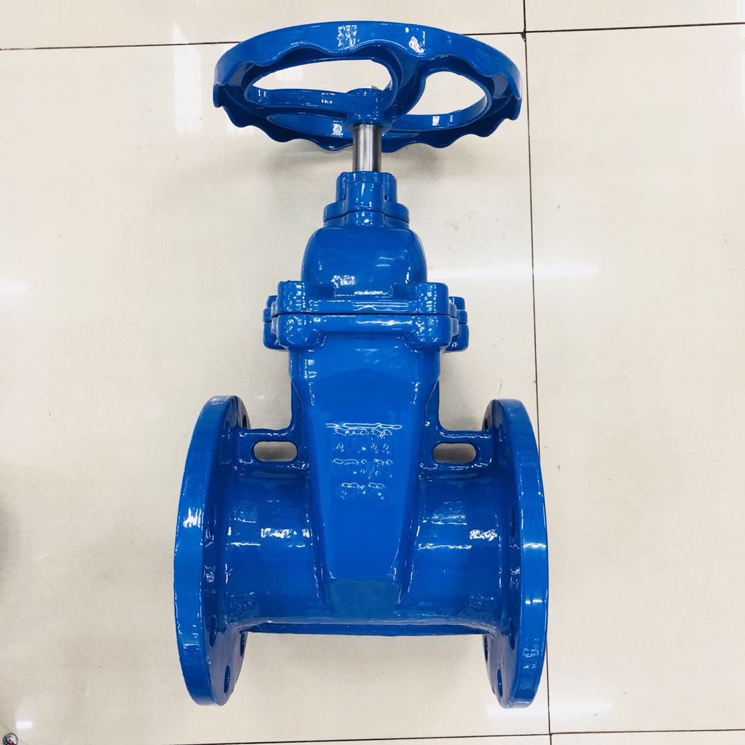 Dark bar soft seal gate valve DN100 full figure