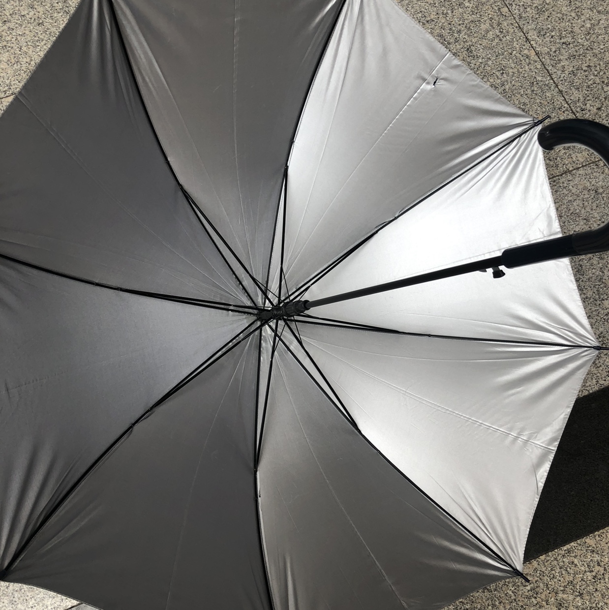 60Cm 8K Silver Rubber Sunshade Umbrella undefined
