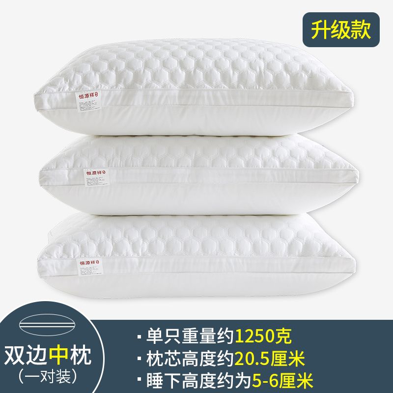 Pillow Home Double Pillow Core 3