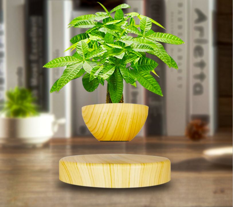 D sound the same maglev potted creative home furnishings opening gift personalized birthday gift crafts