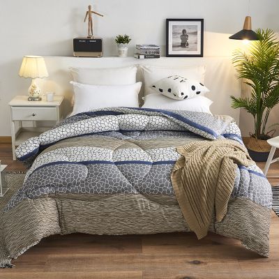 New Spring And Autumn Quilt Core Winter Chemical Fiber Quilt Thickened Warm Ground Wool Embossed Winter Quilt