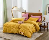 Golden fleece bed Winter coral fleece four-piece set of two-sided flannel cashmere flannel simple cashmere