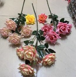 4头玫瑰