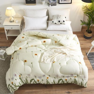 New Cotton Quilt Spring And Autumn Core Winter Chemical Fiber Quilt Thickened Warm Woolen Winter Quilt 8