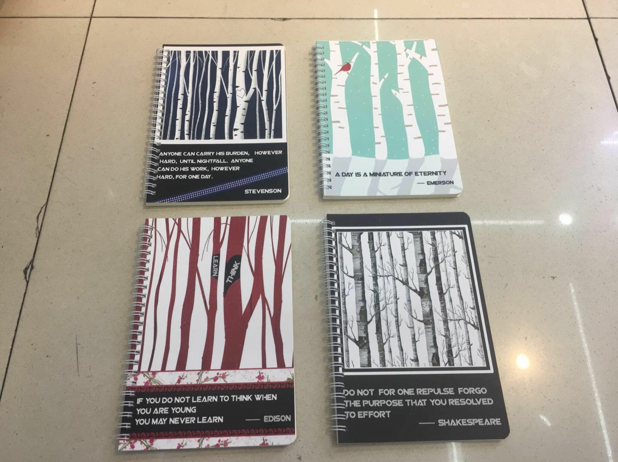 线圈本加厚侧翻A5文具笔记本子手帐本少女记事本卡通创意箴言