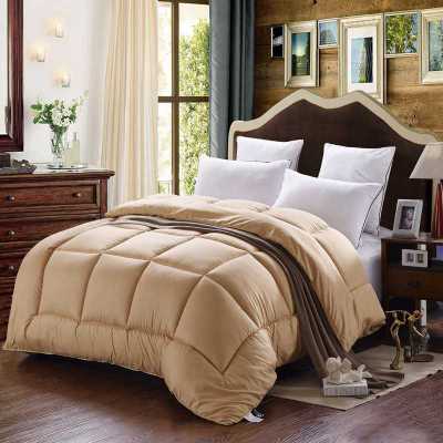 New Spring And Autumn Quilt Core Winter Chemical Fiber Quilt Thickened To Protect Warm Winter Quilt 7