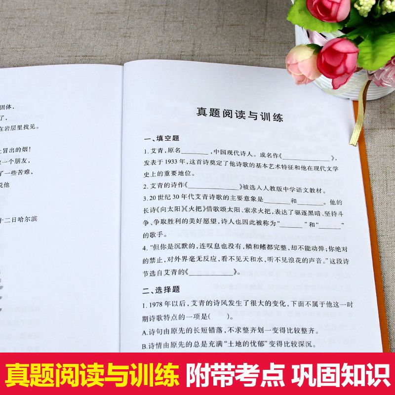 艾青诗选 9年级老师推荐书初中生统编语文教材配套阅读文学名著详情图5