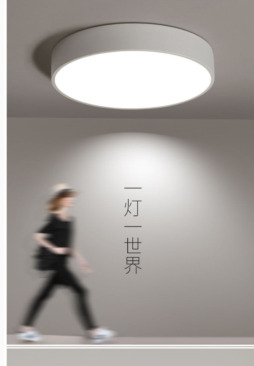 Ironwork acrylic simple ceiling lamp for bedroom, study and balcony 019 detail image 2