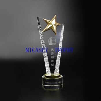 Crystal cup with star thumbnail