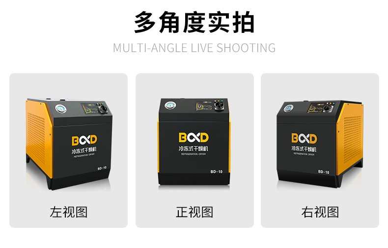 葆德冷冻式干燥机BD-10