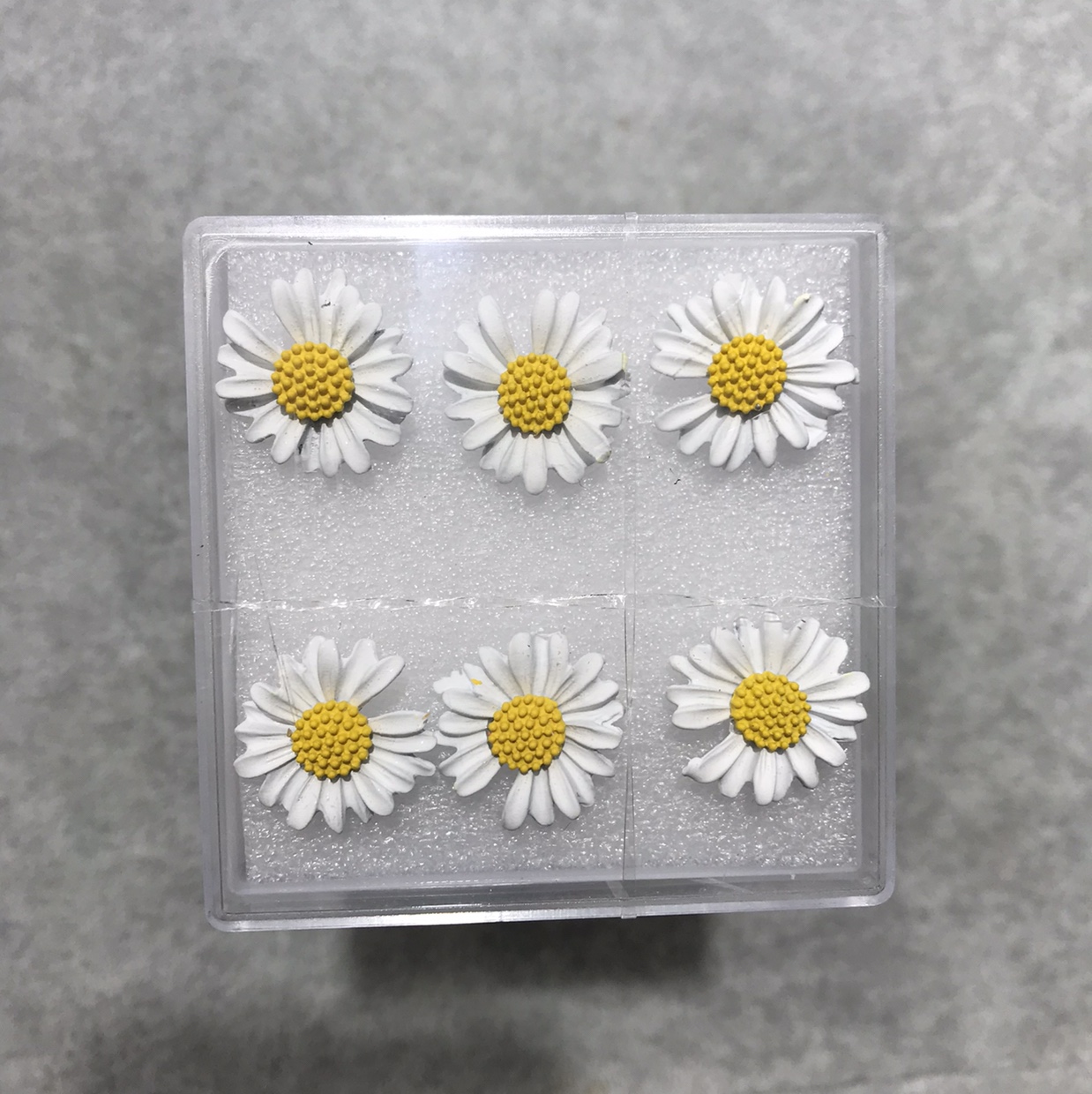 小雏菊