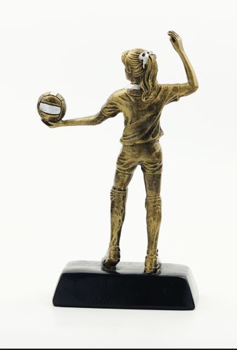 Customized 2019 new style volleyball trophy, resin trophy, volleyball competition award trophy HX1420 Specification drawing