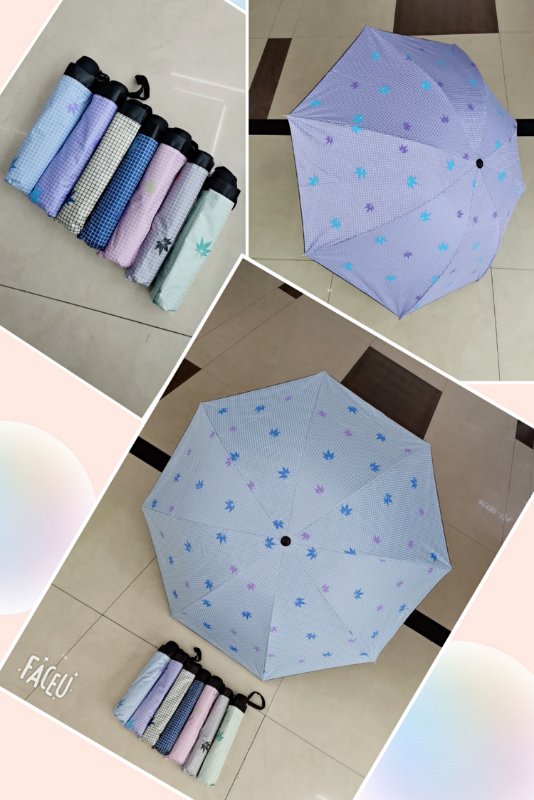 学生伞17