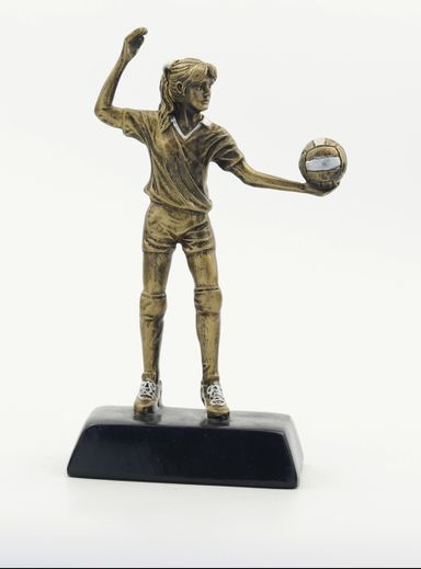 Customized 2019 new style volleyball trophy, resin trophy, volleyball competition award trophy HX1420 details Picture