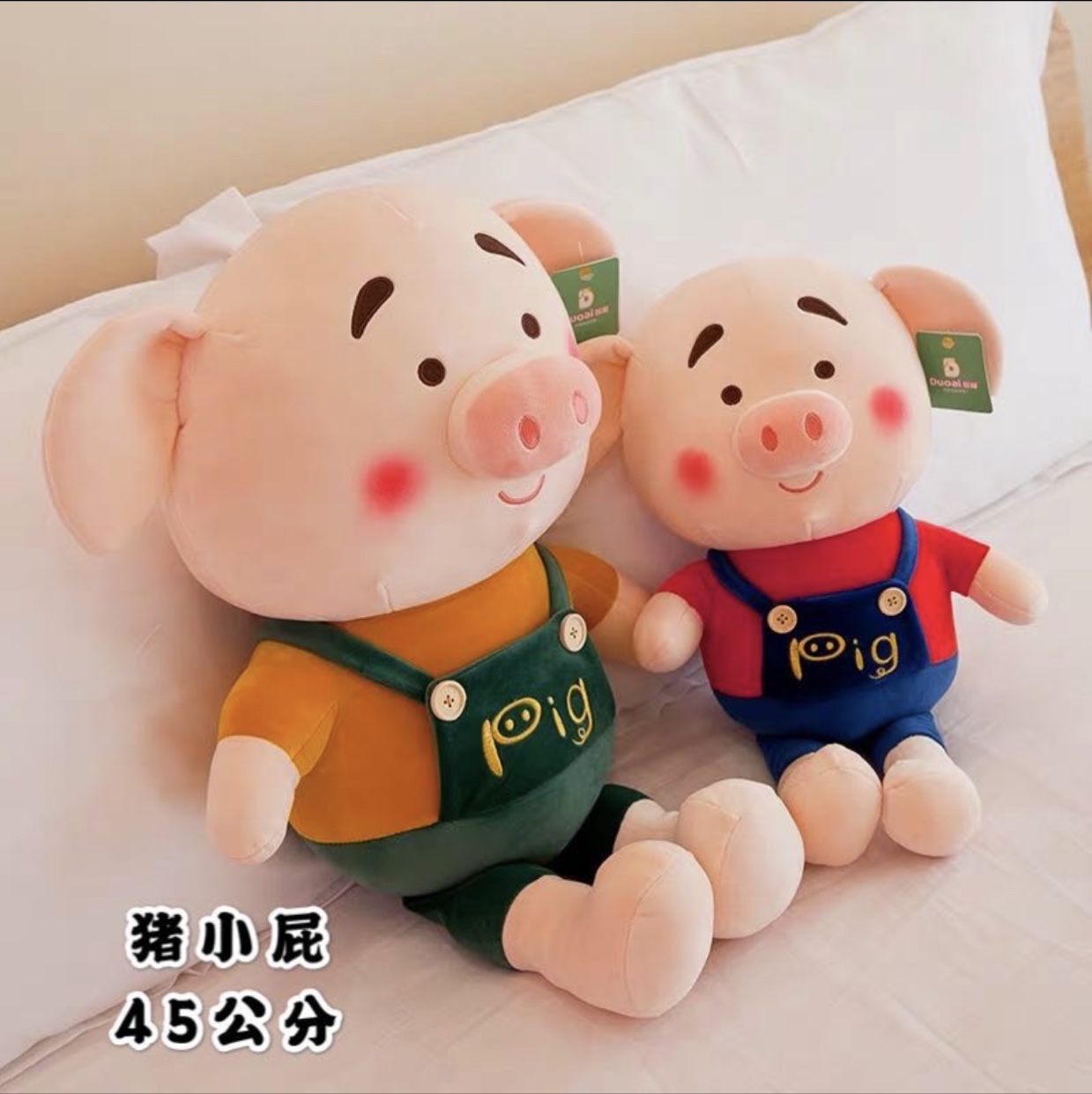 "Internet-famous pig"