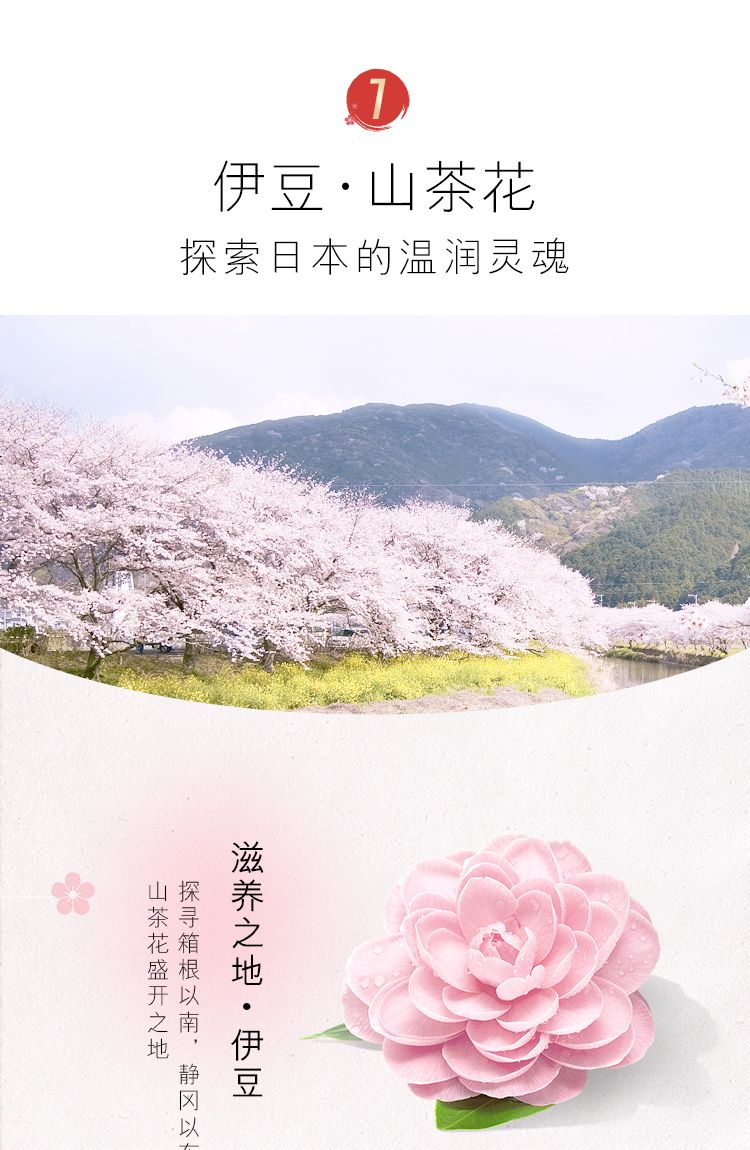 OLAY Limited Edition Camellia Essence Mask Niacinamide 10 Pieces detail image 3