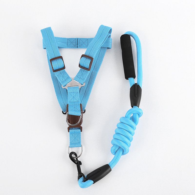 Aishangchong rock climbing rope, chest strap, woven PP round rope, dog leash, foam handle, Teddy special wholesale blue