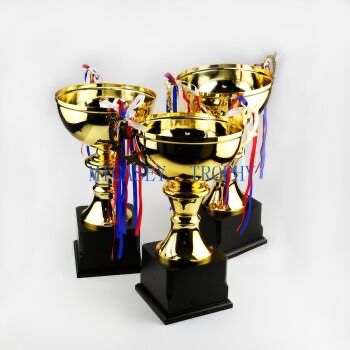 Metal trophy undefined