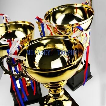 Metal trophy Application Scenario