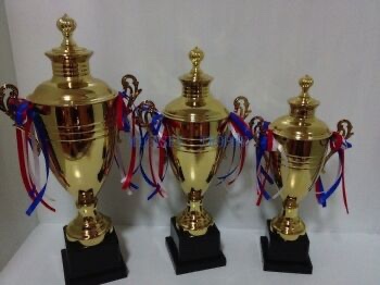 General purpose trophy with metal cover Medal Trophy for sports and Entertainment events