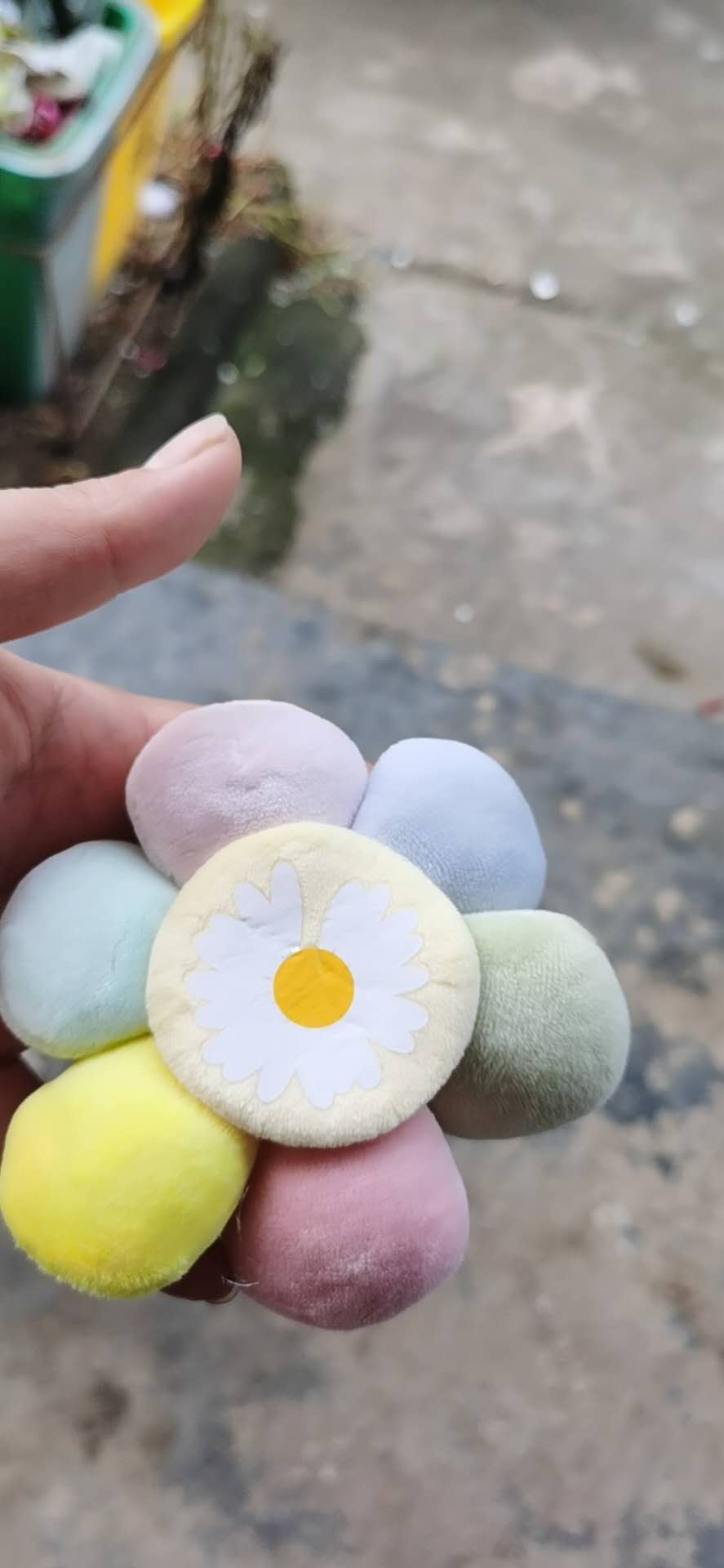 2024厂家直销新品上市六瓣花