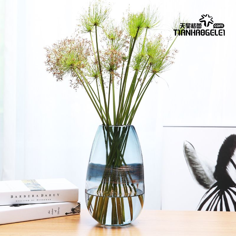 Small Nordic simple glass vase handicraft display piece details Picture