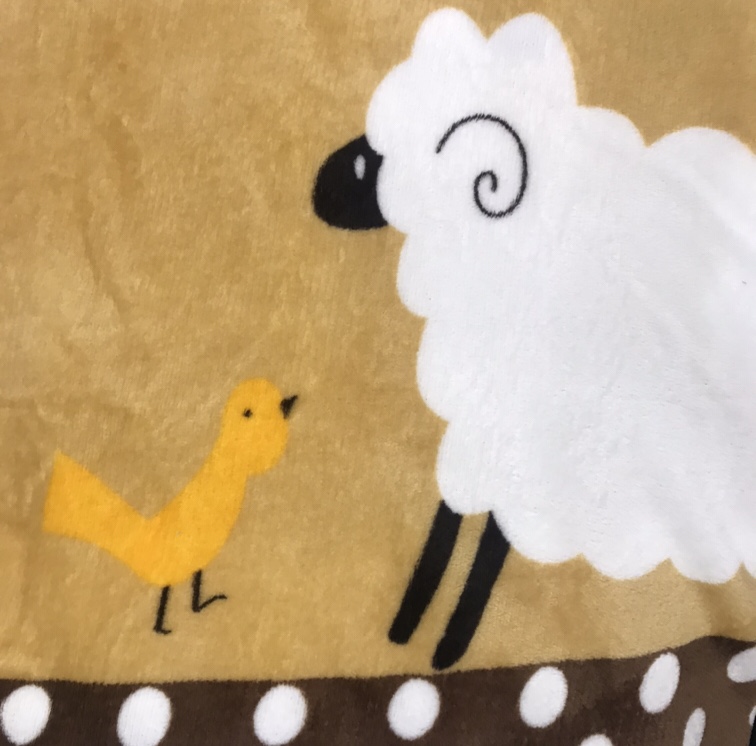 法兰绒被产品图