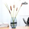 Small Nordic simple glass vase handicraft display piece Application Scenario