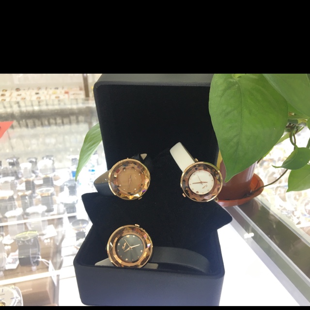 Fashionable, high-end, elegant and trendy leather watches for women Application Scenario