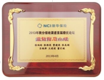 Highlight lacquered wood brand high-grade authorized dealer agent brand