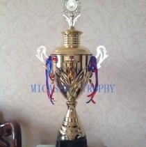 Metal Cup big game metal traditional trophy