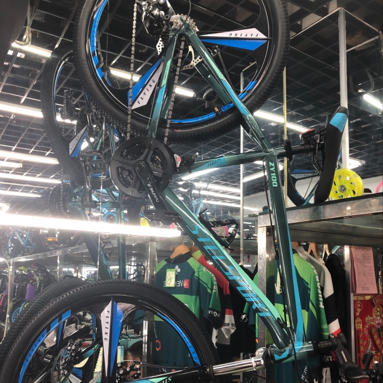 山地自行車一体轮丫F100