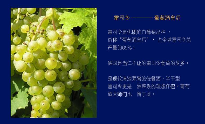 吉隆桩三王之年半甜白葡萄酒1888细节图