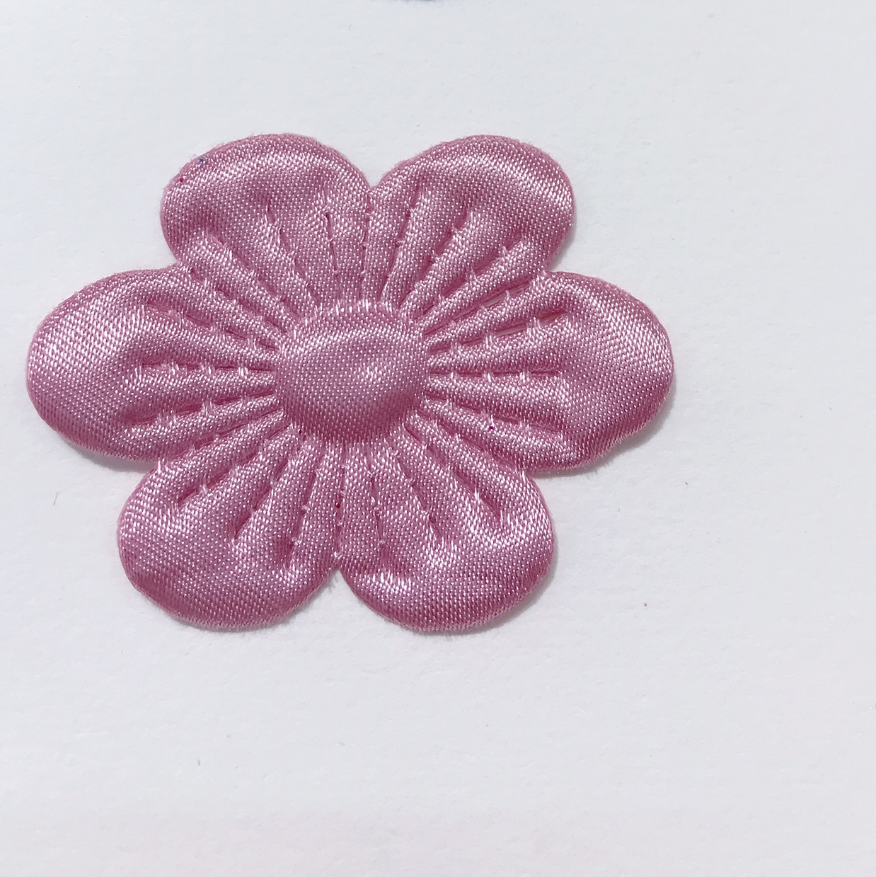 Pink little flower 1