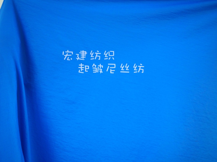 宏建纺织起皱尼丝纺