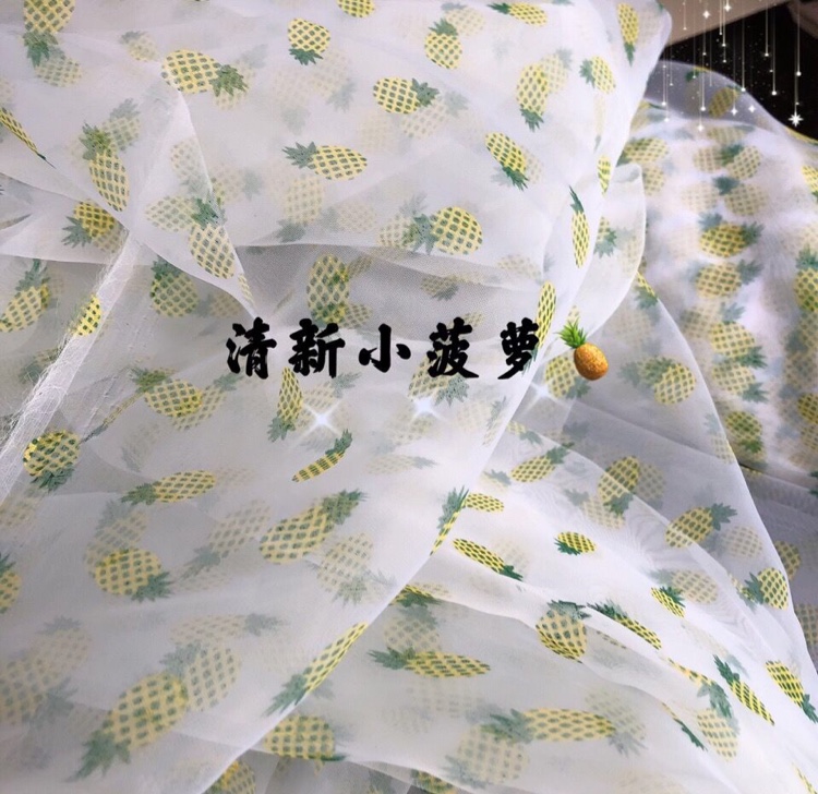 清新小菠萝 ins时尚日韩装饰面料印花网纱背景墙装饰网红拍照道具