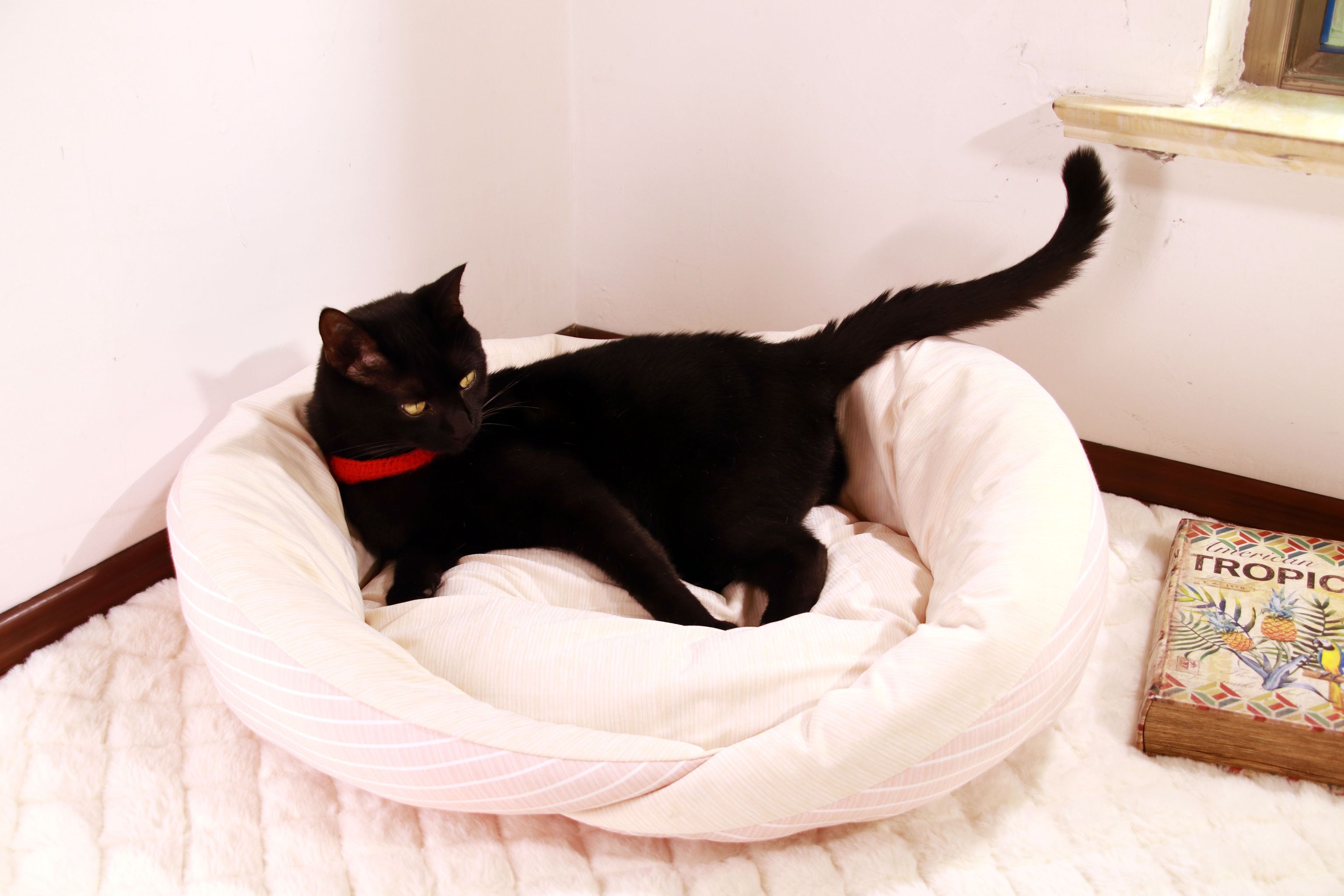 New cat mat for sleeping, pet dog bed mat, dog sleeping mat, summer cat ice mat, cooling ice thread detail image 2