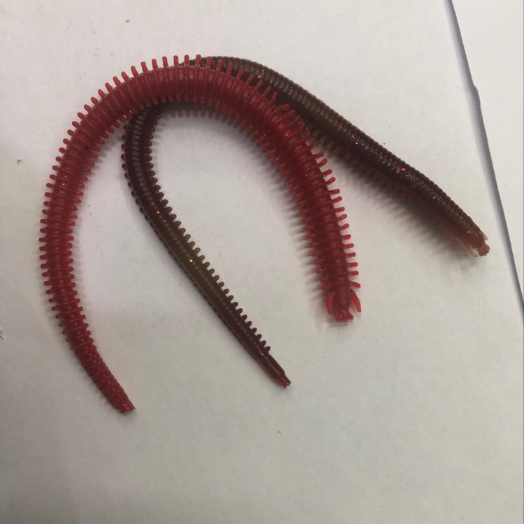 仿生蚯蚓详情图3