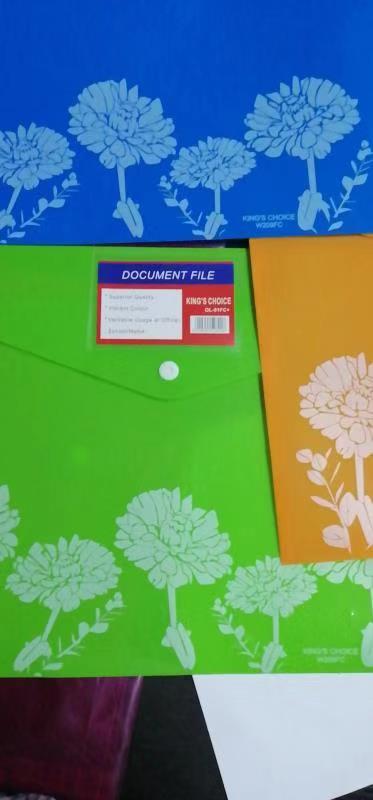 FC pattern file bag thumbnail