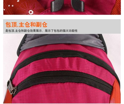 外贸专供JUNGLE KING户外登山包儿童背包韩式小型野营包徒步运动背包休闲包详情9