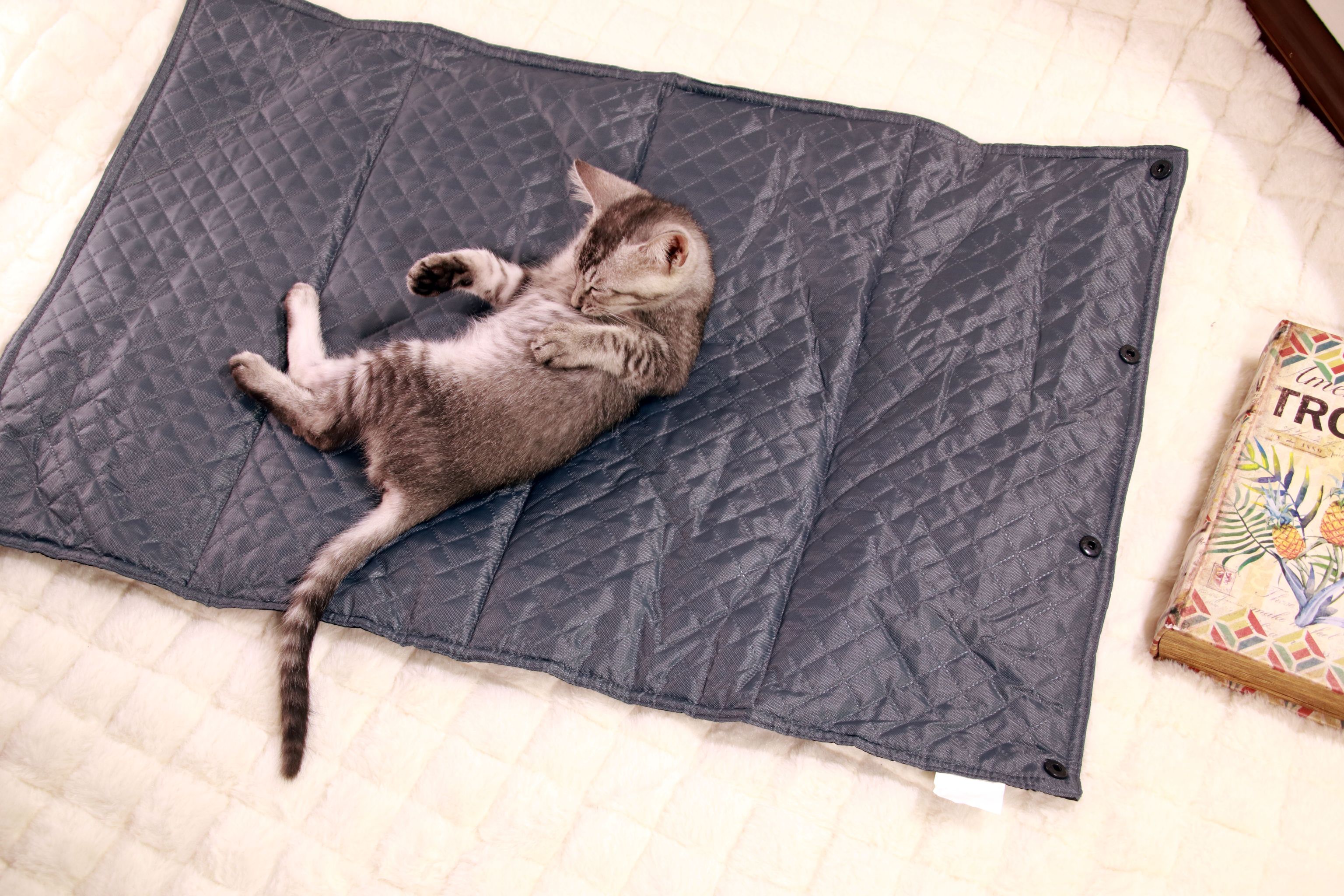 New outdoor mat, suitable for dogs and cats, outdoor pet bed, seat cushion, pet outdoor mat, dog cage, all seasons detail image 6