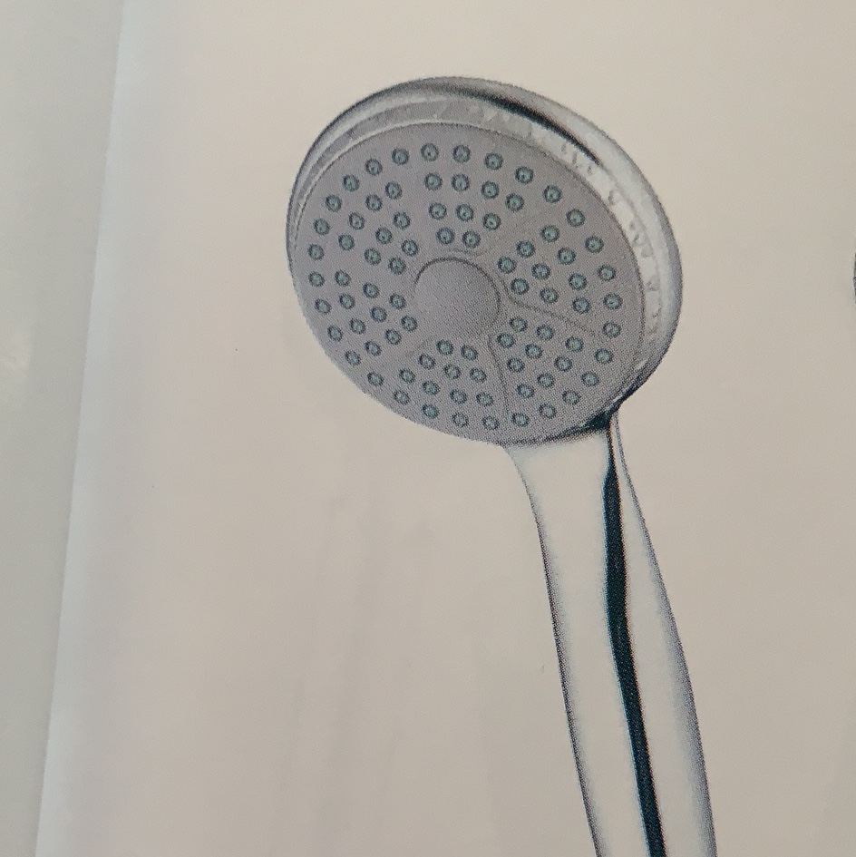 Showerhead shower