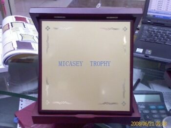 30% off bronze MEDALS and 20% off bronze MEDALS and stainless steel medal table plates thumbnail