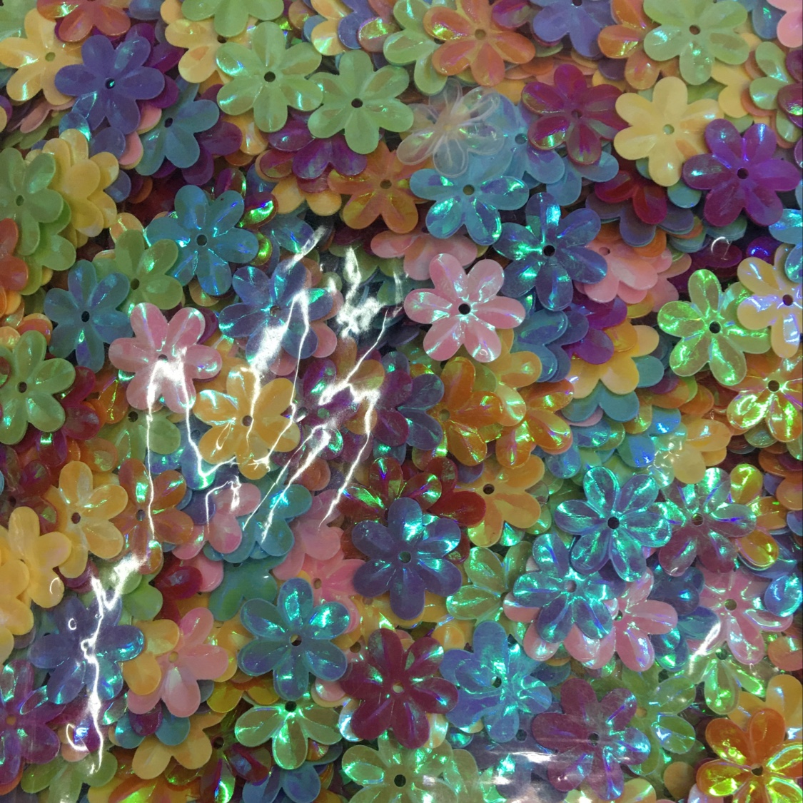 15 mm 6 disc may thumbnail