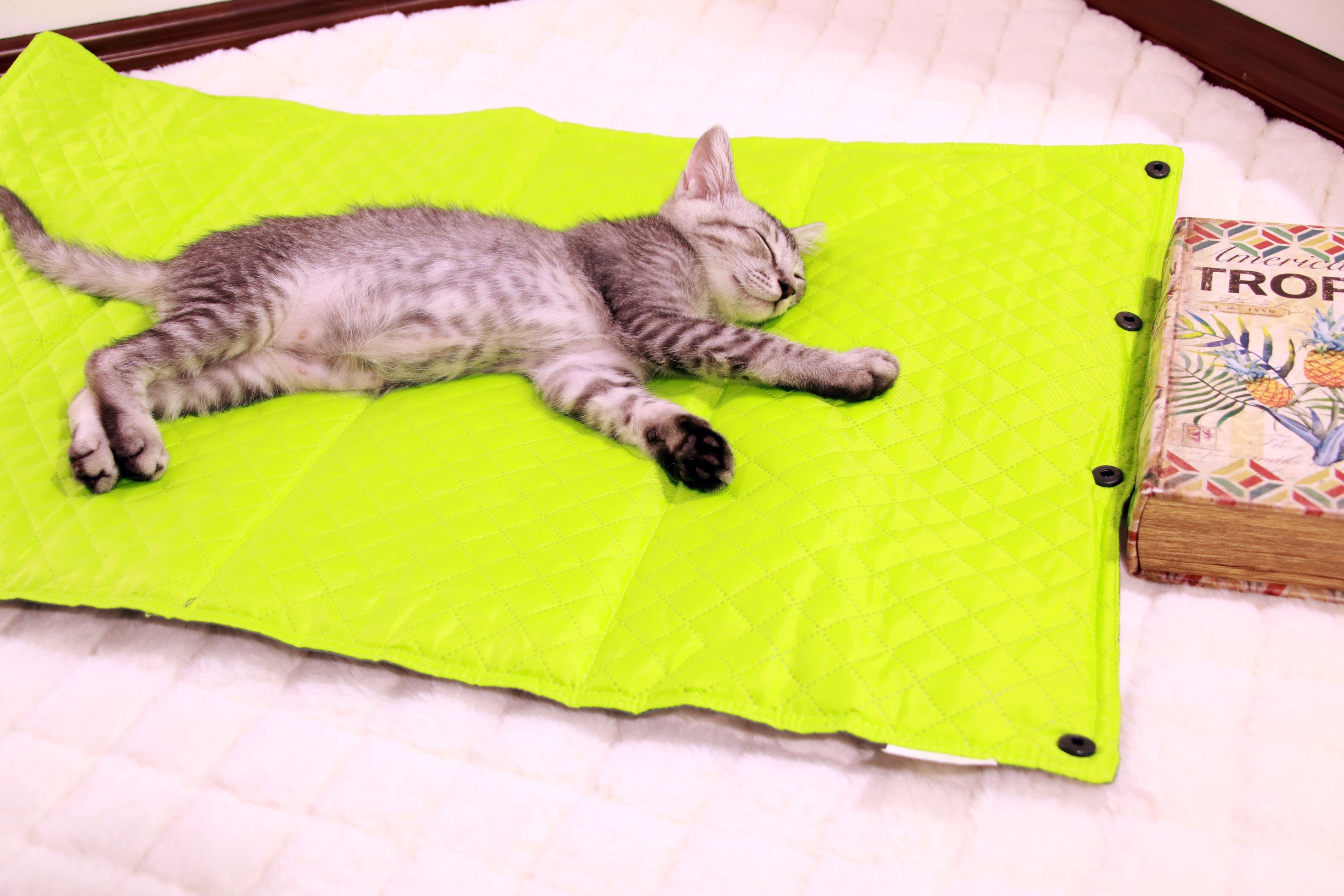 New outdoor mat, suitable for dogs and cats, outdoor pet bed, seat cushion, pet outdoor mat, dog cage, all seasons detail image 4