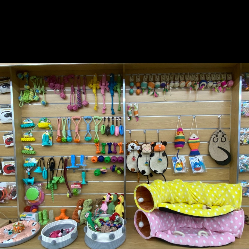 Zhisheng Pet describe pic - 4