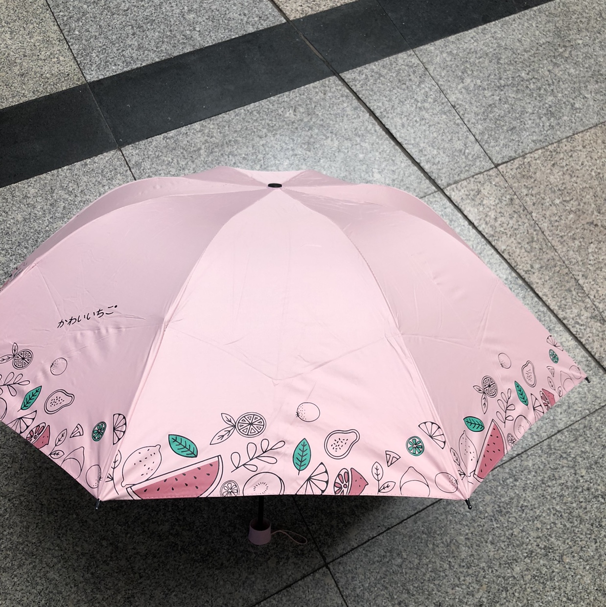 Vinyl Sun Umbrella details Picture