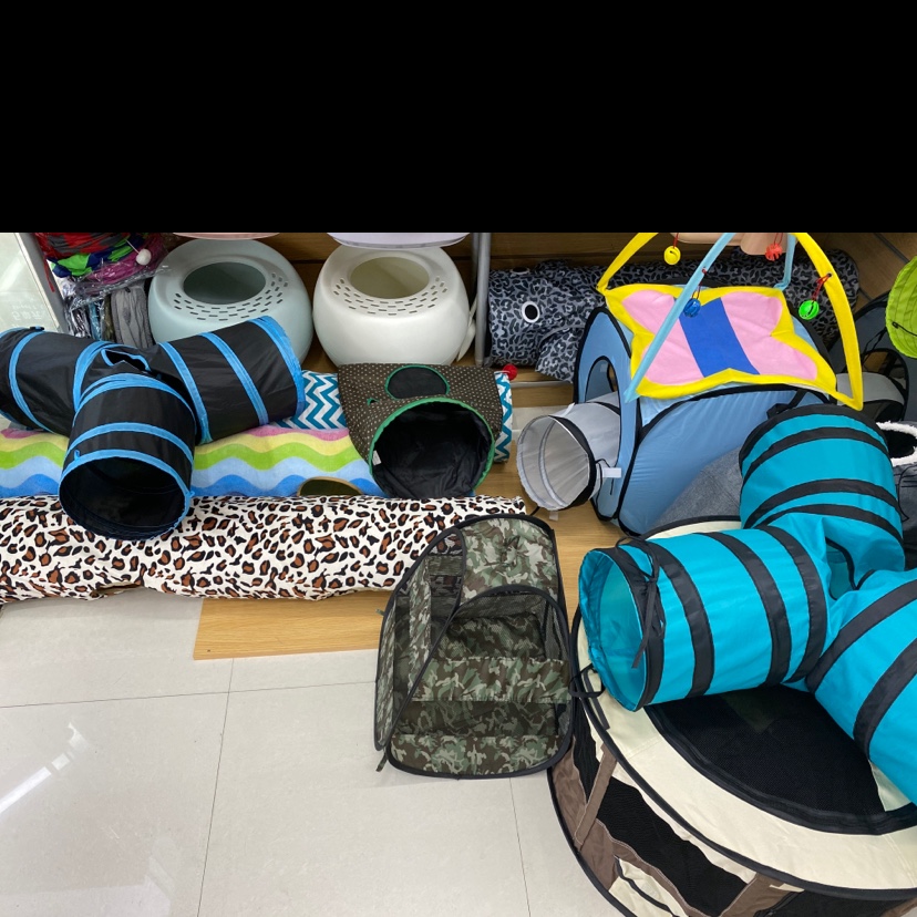 Zhisheng Pet describe pic - 2