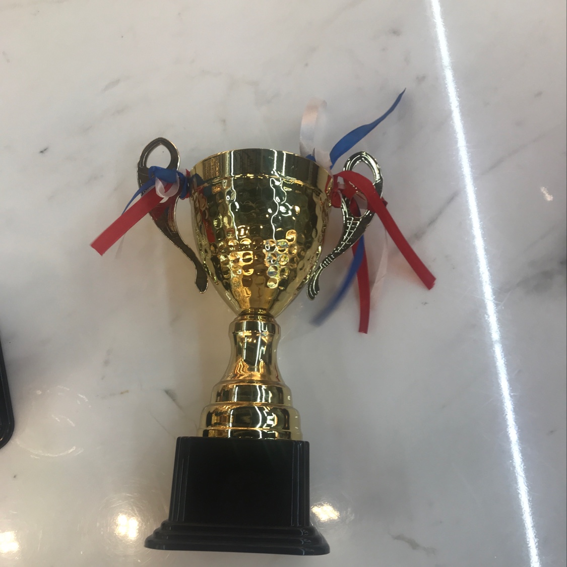 The new 4081 metal trophy