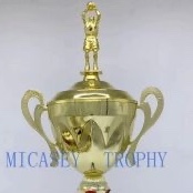 Sports trophies Basketball and football trophies multiple size trophies
